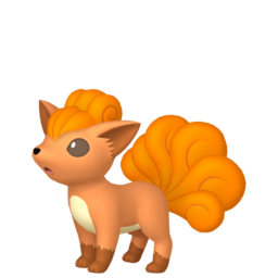 Vulpix - Home