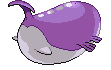 Wailord - Black 2 White 2 Black White Animated (Back View (Shiny))