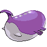 Wailord - Black White (Back View (Shiny))