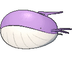 Wailord - X Y (Shiny)