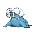 Walrein - X Y (Normal)