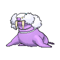 Walrein - X Y (Shiny)