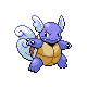 Wartortle - HeartGold SoulSilver (Normal)