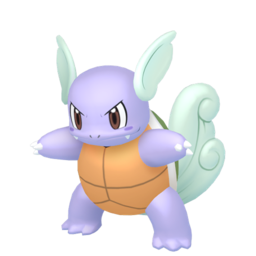 Wartortle - Home