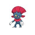 Weavile - Omega Ruby Alpha Sapphire (Normal)