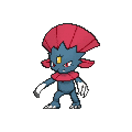 Weavile - X Y (Normal)