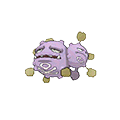 Weezing - Omega Ruby Alpha Sapphire (Normal)