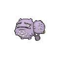 Weezing - X Y (Normal)