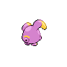 Whismur - Black White (Back View)