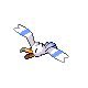 Wingull - Diamond Pearl (Normal)