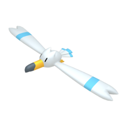 Wingull - Home