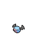 Woobat - Sword Shield