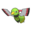 Xatu - X Y (Normal)