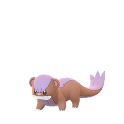Yungoos - GO (Shiny)