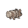 Zigzagoon - Black White (Back View)
