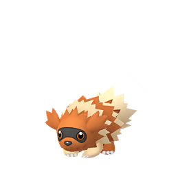 Zigzagoon - GO (Shiny)