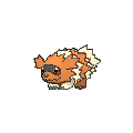 Zigzagoon - X Y (Shiny)