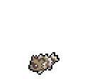 Zigzagoon - Sword Shield