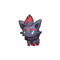 Zorua - X Y (Normal)