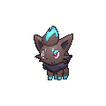 Zorua - X Y (Shiny)