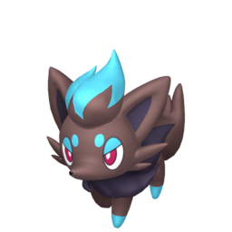 Zorua - Home