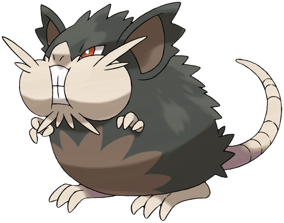 Alolan Raticate