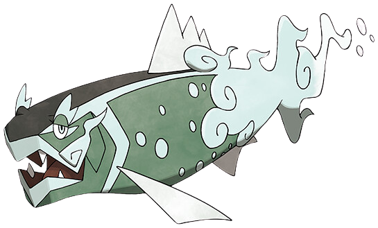 Basculegion Female