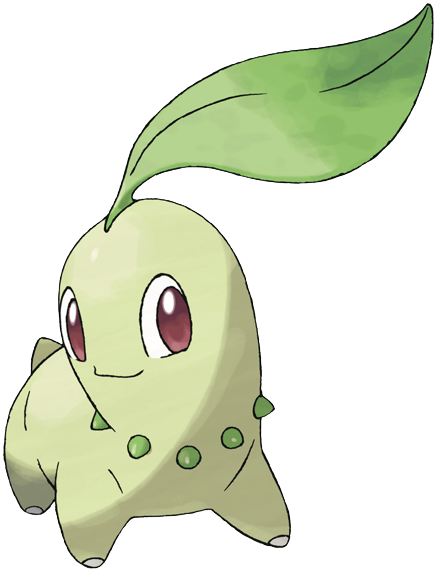 Chikorita