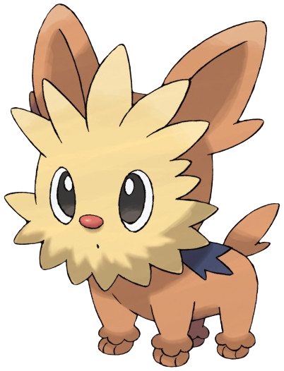 Lillipup