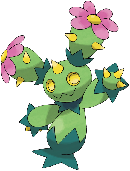 Maractus