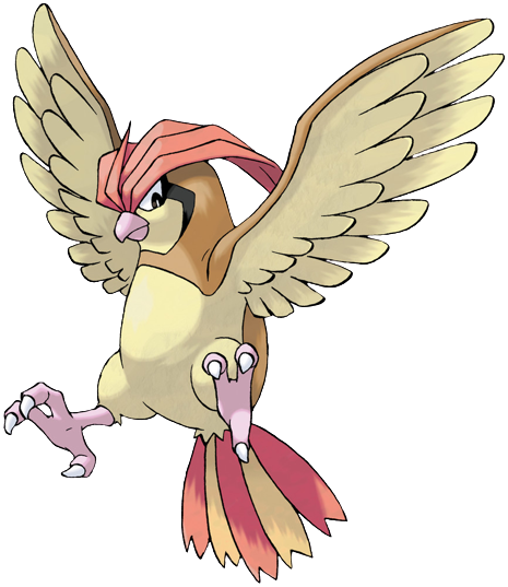 Pidgeotto - Bird Pokémon