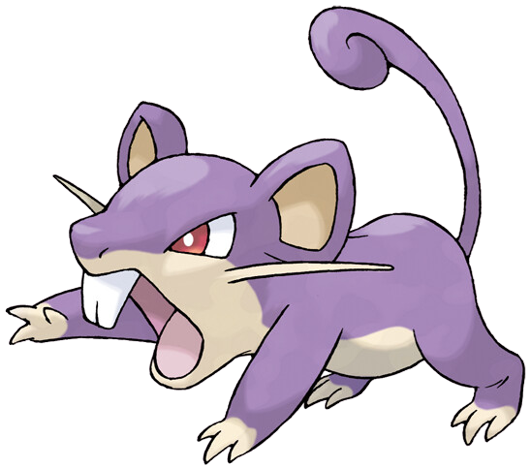 Rattata