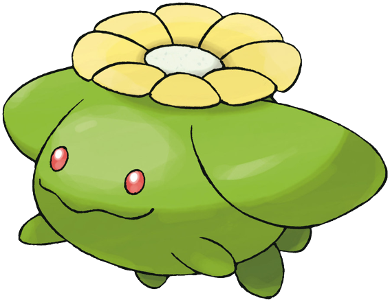 Skiploom