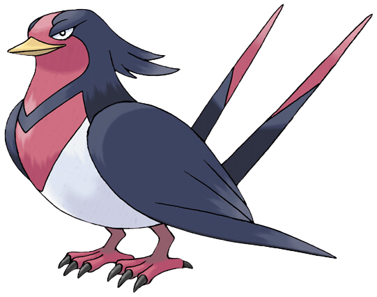Swellow - Swallow Pokémon