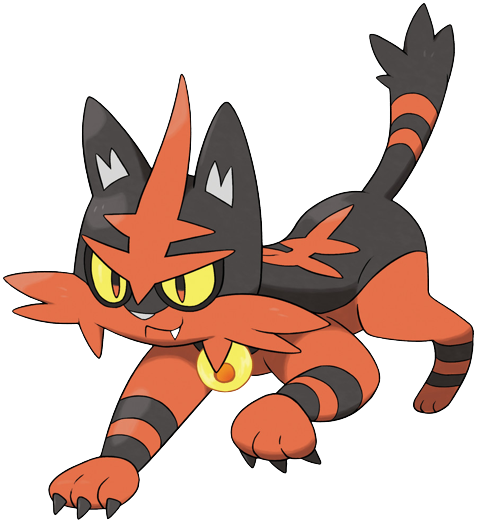 Torracat